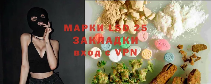 ЛСД экстази ecstasy  цены   блэк спрут как зайти  Каменногорск 